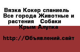 Вязка Кокер спаниель - Все города Животные и растения » Собаки   . Крым,Алупка